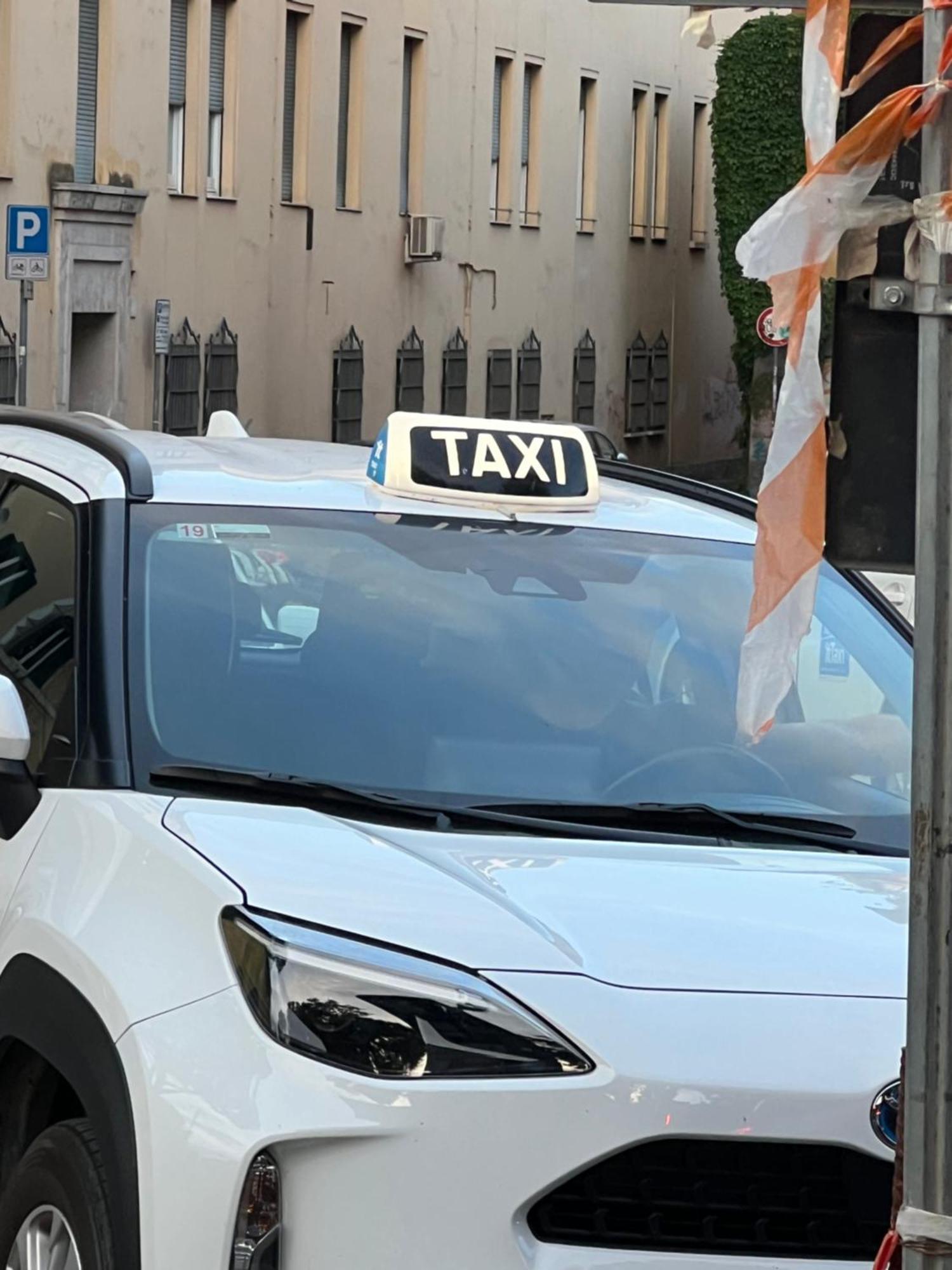 Sunny Side Trastevere 로마 외부 사진